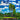Eucalyptus 2