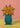 Flowers of Hope