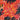 Lava Along the Universe