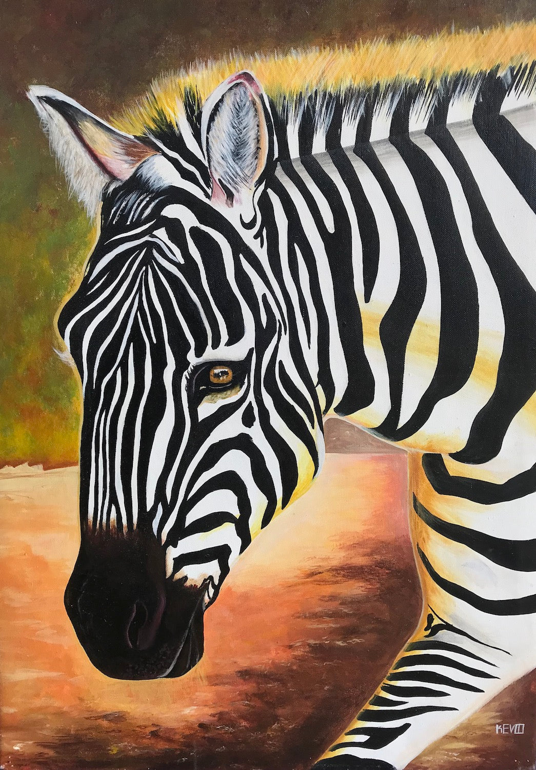 Zebra